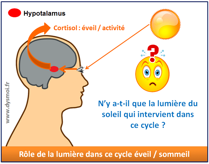 sommeil et cortisol