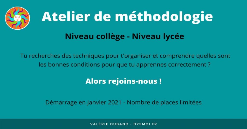 Stage de méthodologie janvier 2021